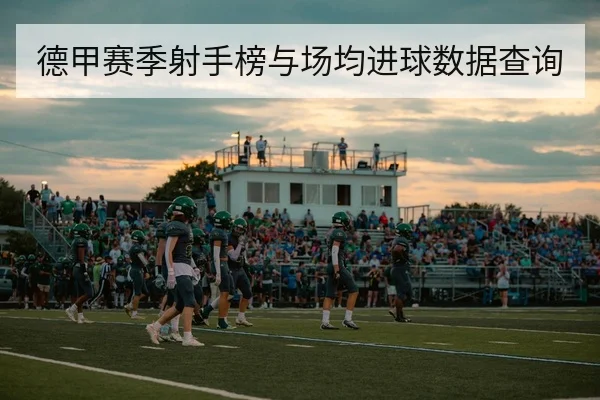 德甲赛季射手榜与场均进球数据查询